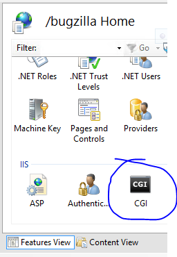 IIS CGI Button